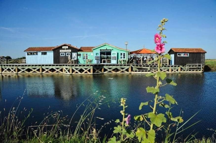 Bed and Breakfast Océan campagne liberté Aigrefeuille-dʼAunis Exterior foto